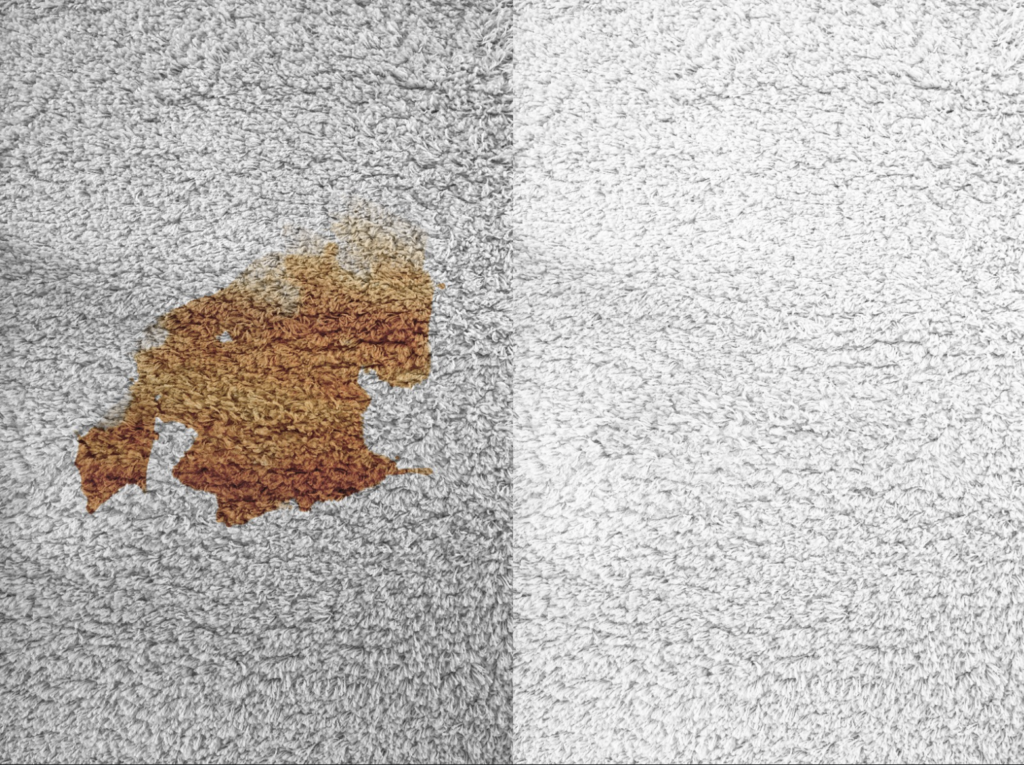 Carpet Cleaning Companies - Why We’re Expert Carpet Cleaners